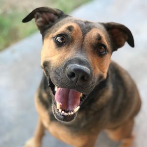 Meet your Posher, Chloe